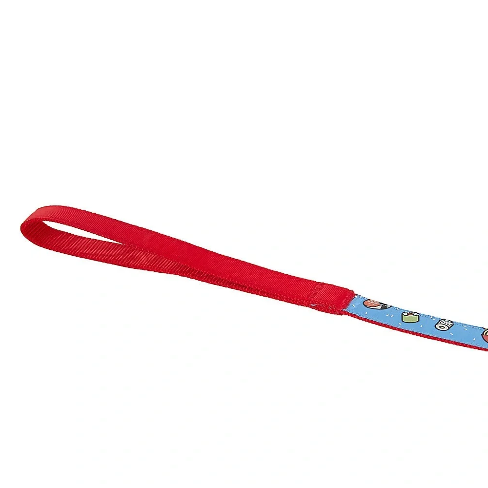 Kitten leash & harness